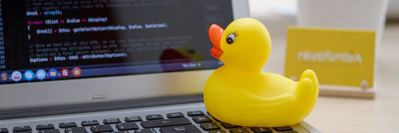 rubber duck debugging