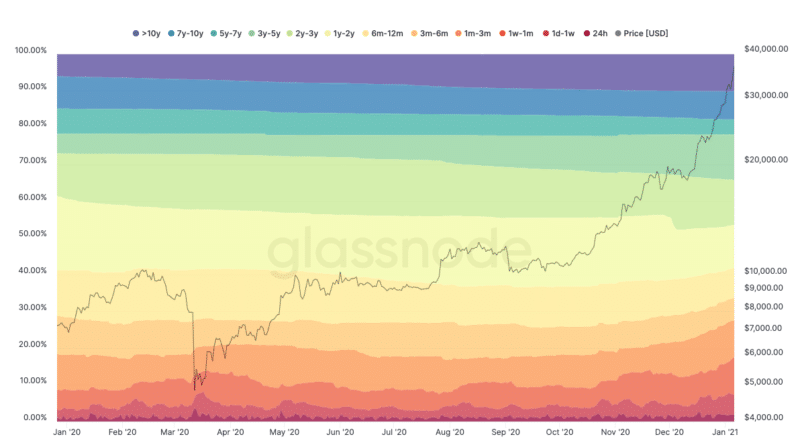 hodl waves 2020