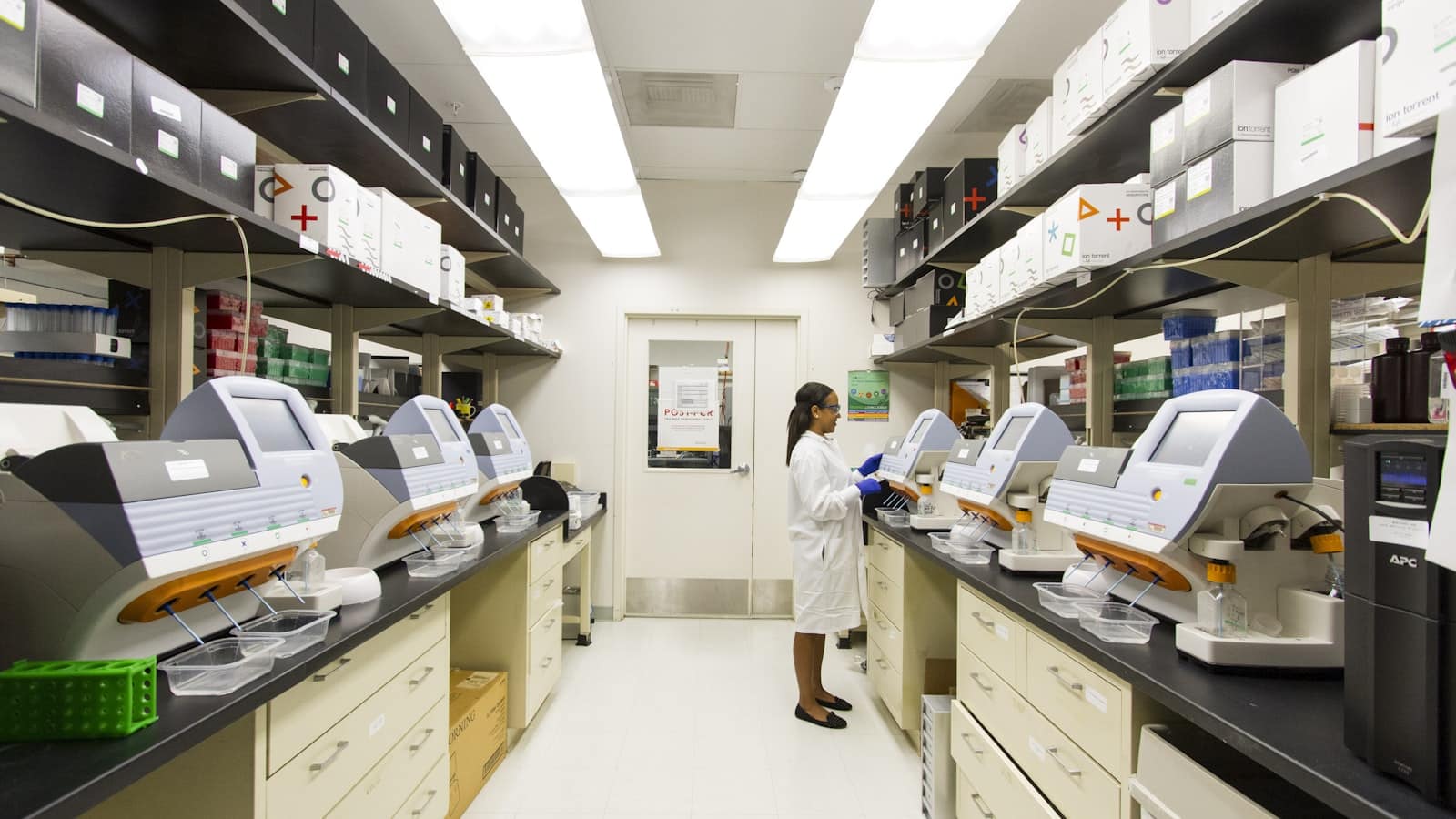 Laboratory scientist running blood tests