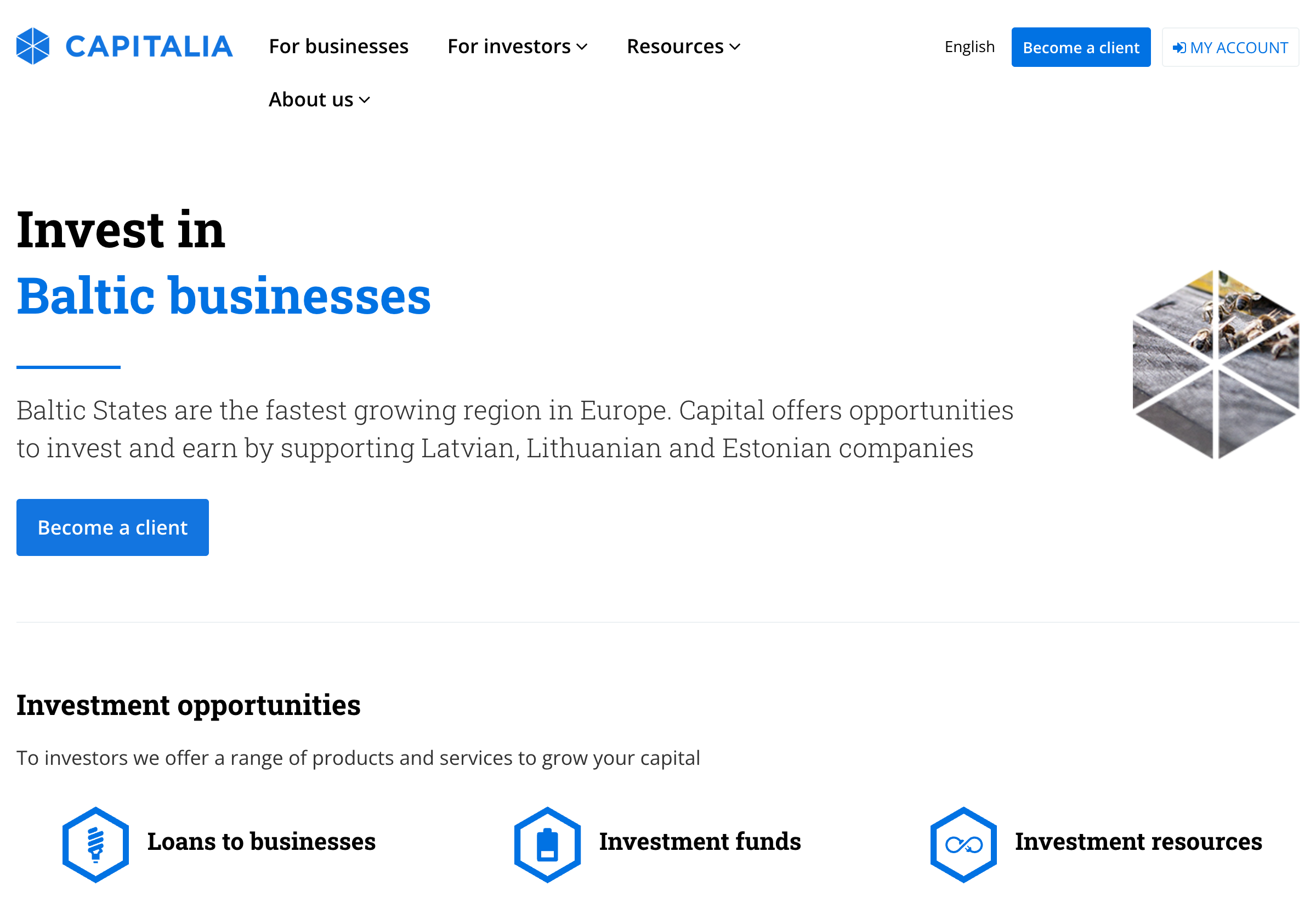 Capitalia investment opportunities page showing loans to businesses, investment funds, and resources