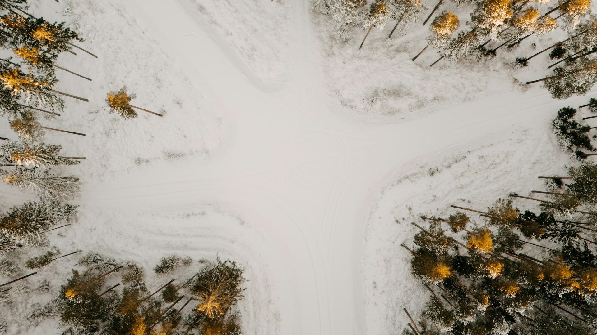 Aerial view of a forest crossroads in winter