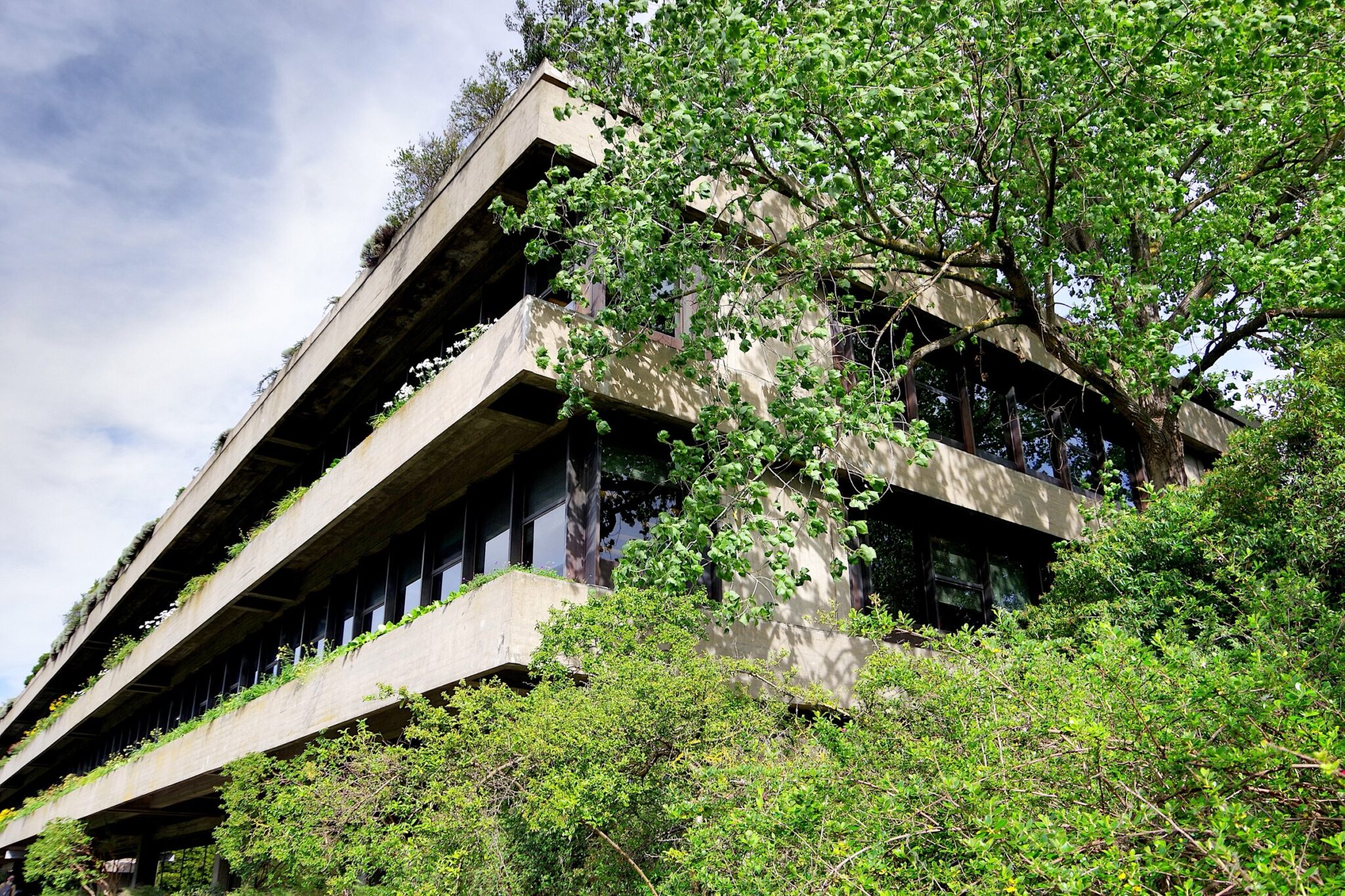 The concrete terraces of the Calouste Gulbenkian museum seen through trees in its garden